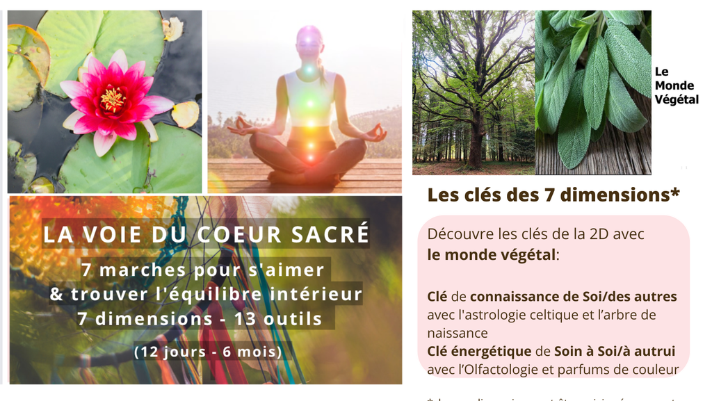 La voie du Coeur Sacré - module 2 - Monde végétal