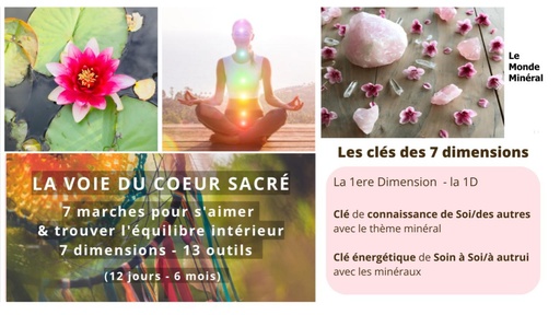 La Voie du Coeur Sacré - module 1 - Monde minéral