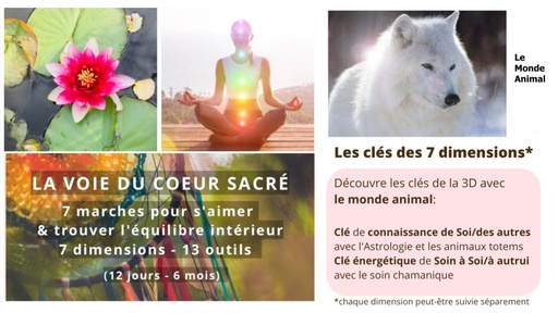 La voie du Coeur Sacré - module 3 - Le monde animal